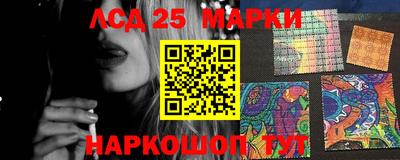шишки Лесосибирск