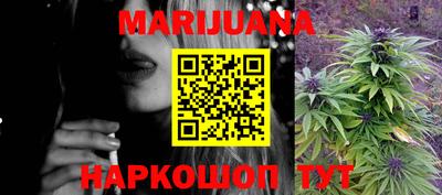 шишки Лесосибирск